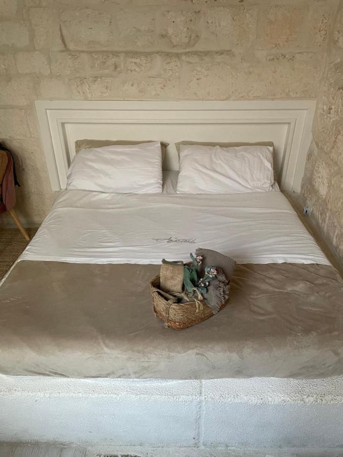 Apartment Amarcord Private